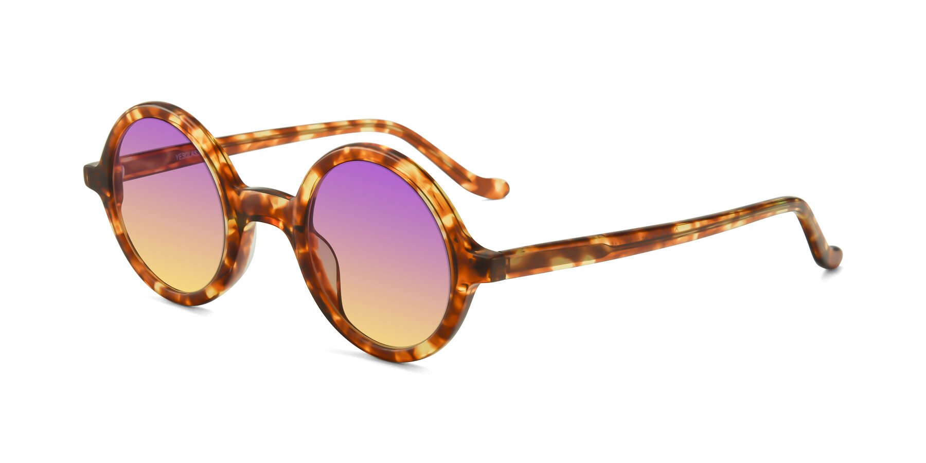 Angle of Chaplin in Tortoise with Purple / Yellow Gradient Lenses