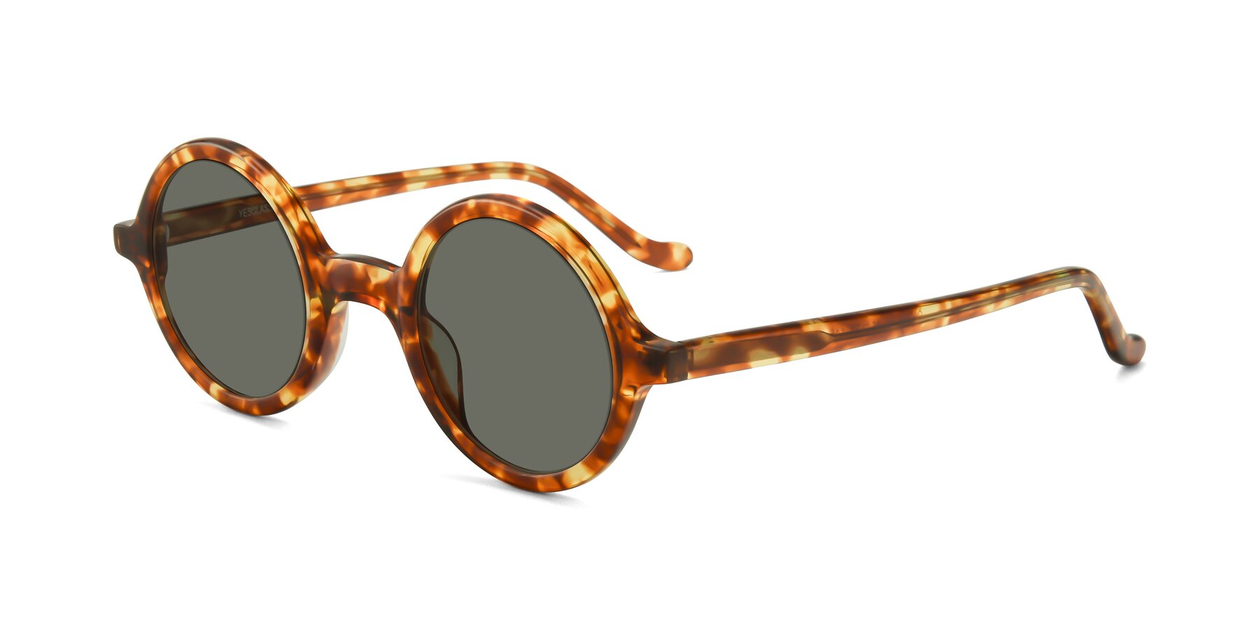 Angle of Chaplin in Tortoise with Gray Polarized Lenses