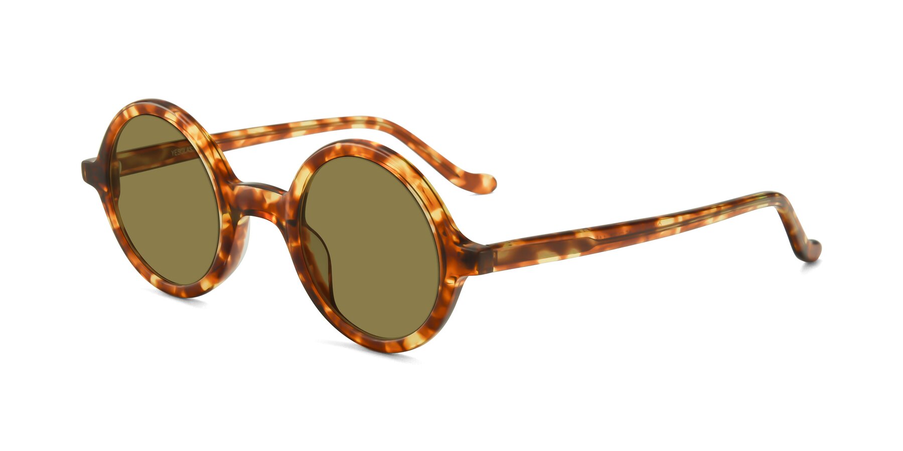 Angle of Chaplin in Tortoise with Brown Polarized Lenses