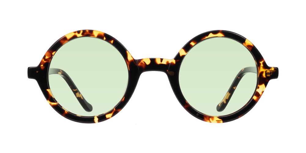Chaplin - Dark Tortoise Tinted Sunglasses
