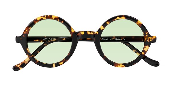 Front of Chaplin in Dark Tortoise