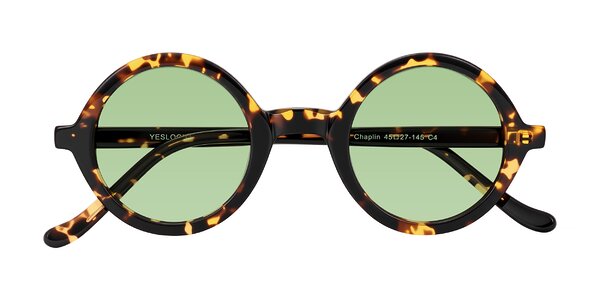 Front of Chaplin in Dark Tortoise