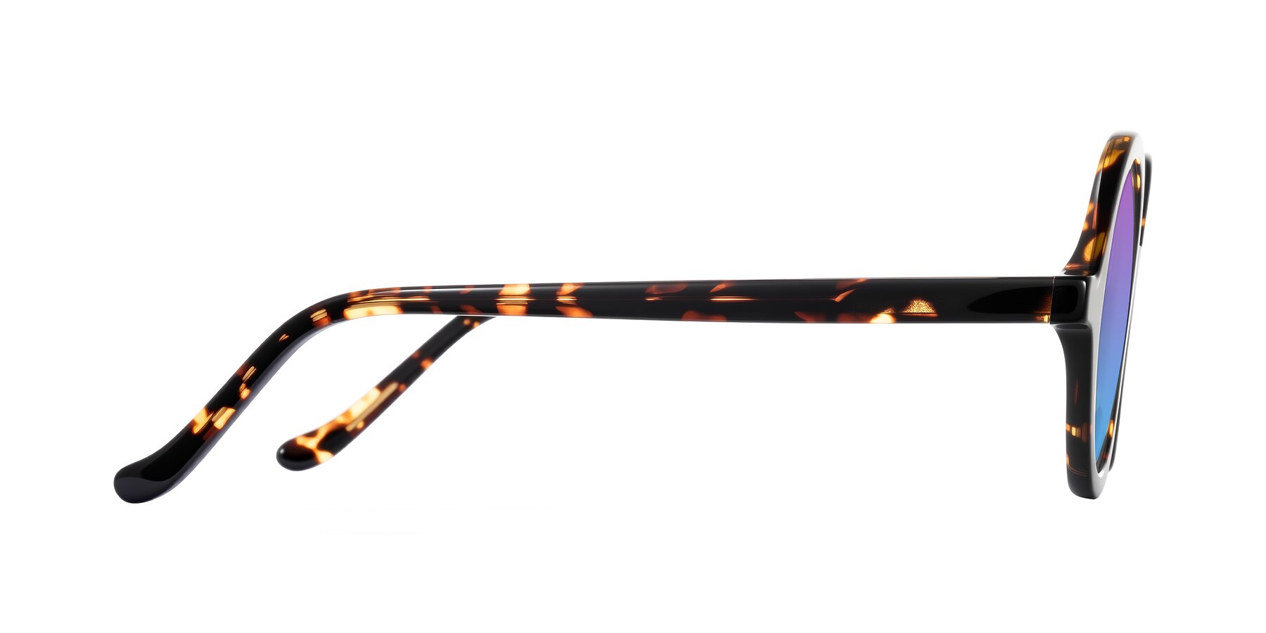 Side of Chaplin in Dark Tortoise with Purple / Blue Gradient Lenses