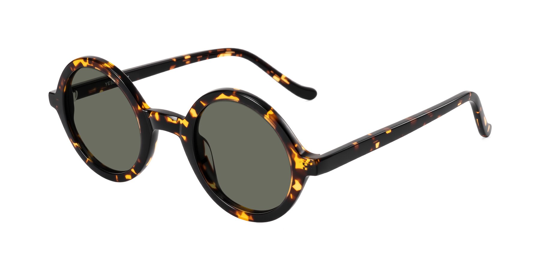 Angle of Chaplin in Dark Tortoise with Gray Polarized Lenses