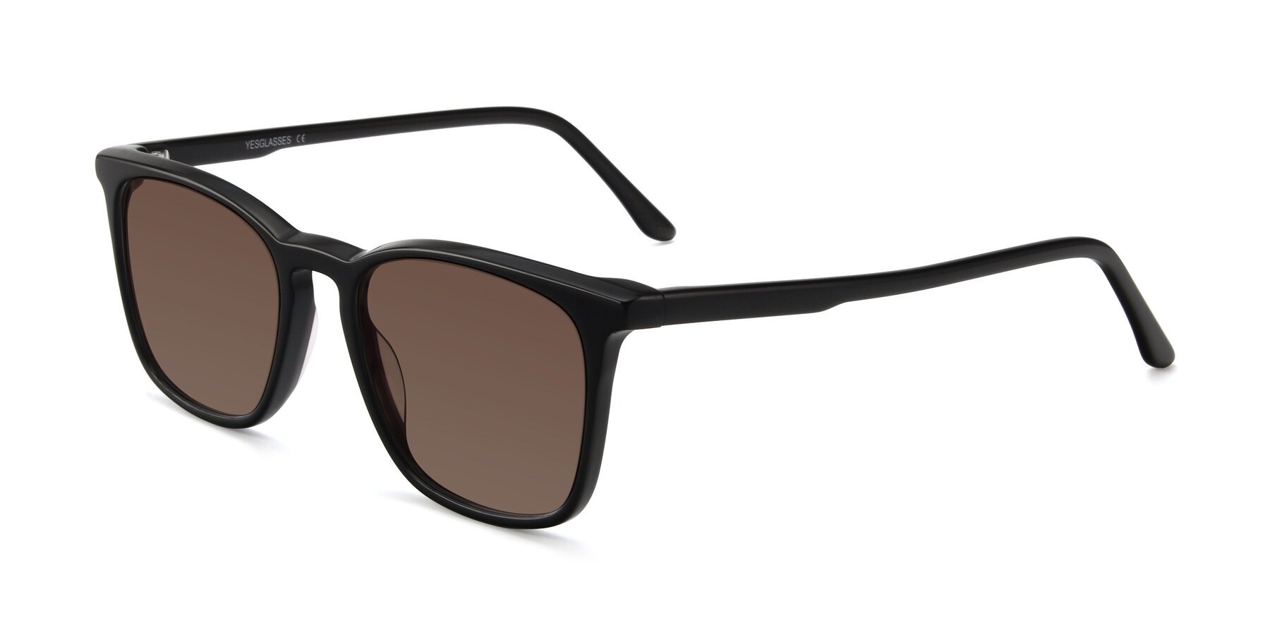Angle of Vigor in Black with Brown Tinted Lenses