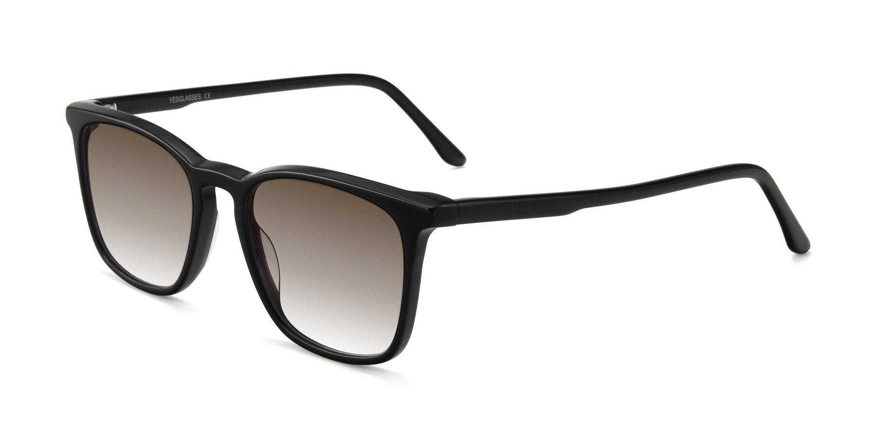 Angle of Vigor in Black with Brown Gradient Lenses