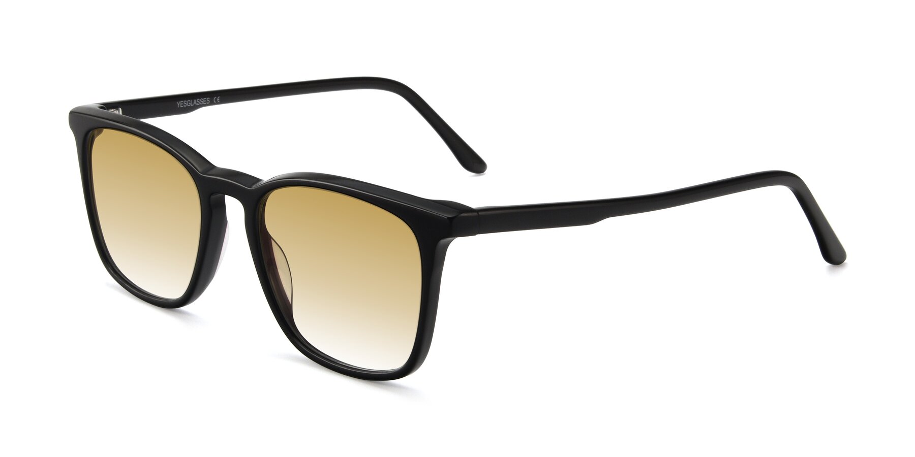 Angle of Vigor in Black with Champagne Gradient Lenses