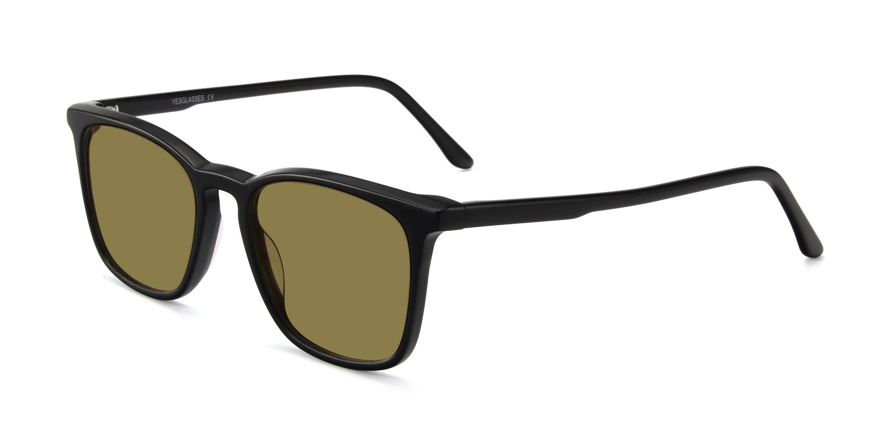 Angle of Vigor in Black with Brown Polarized Lenses