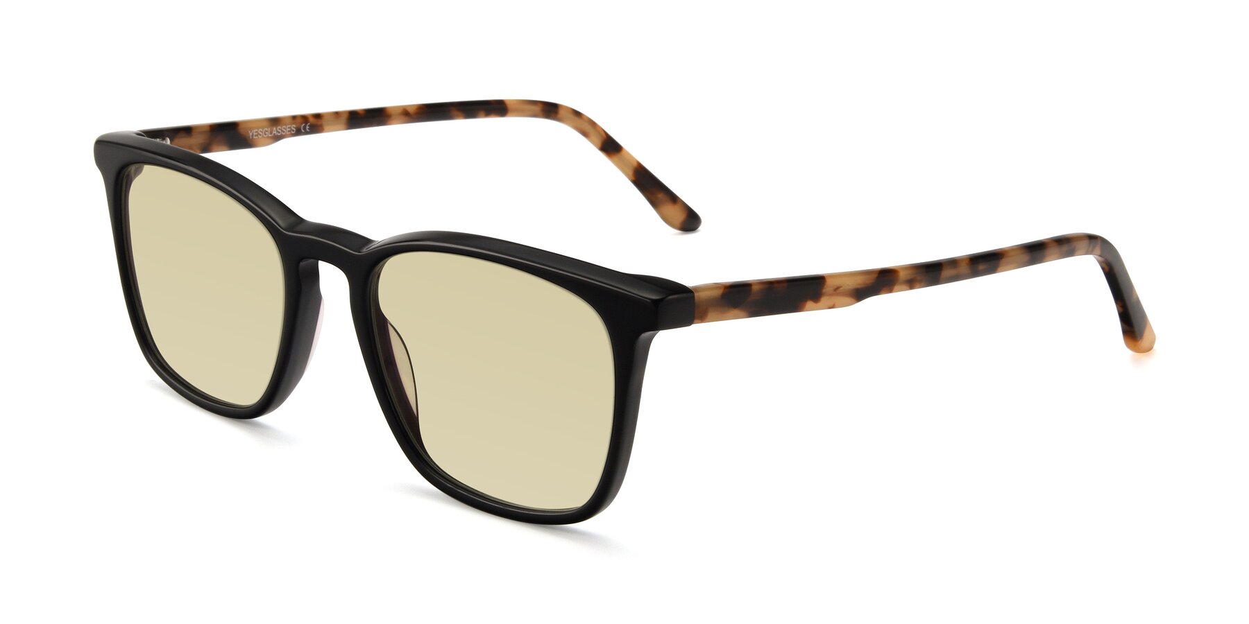 Angle of Vigor in Black-Tortoise with Light Champagne Tinted Lenses
