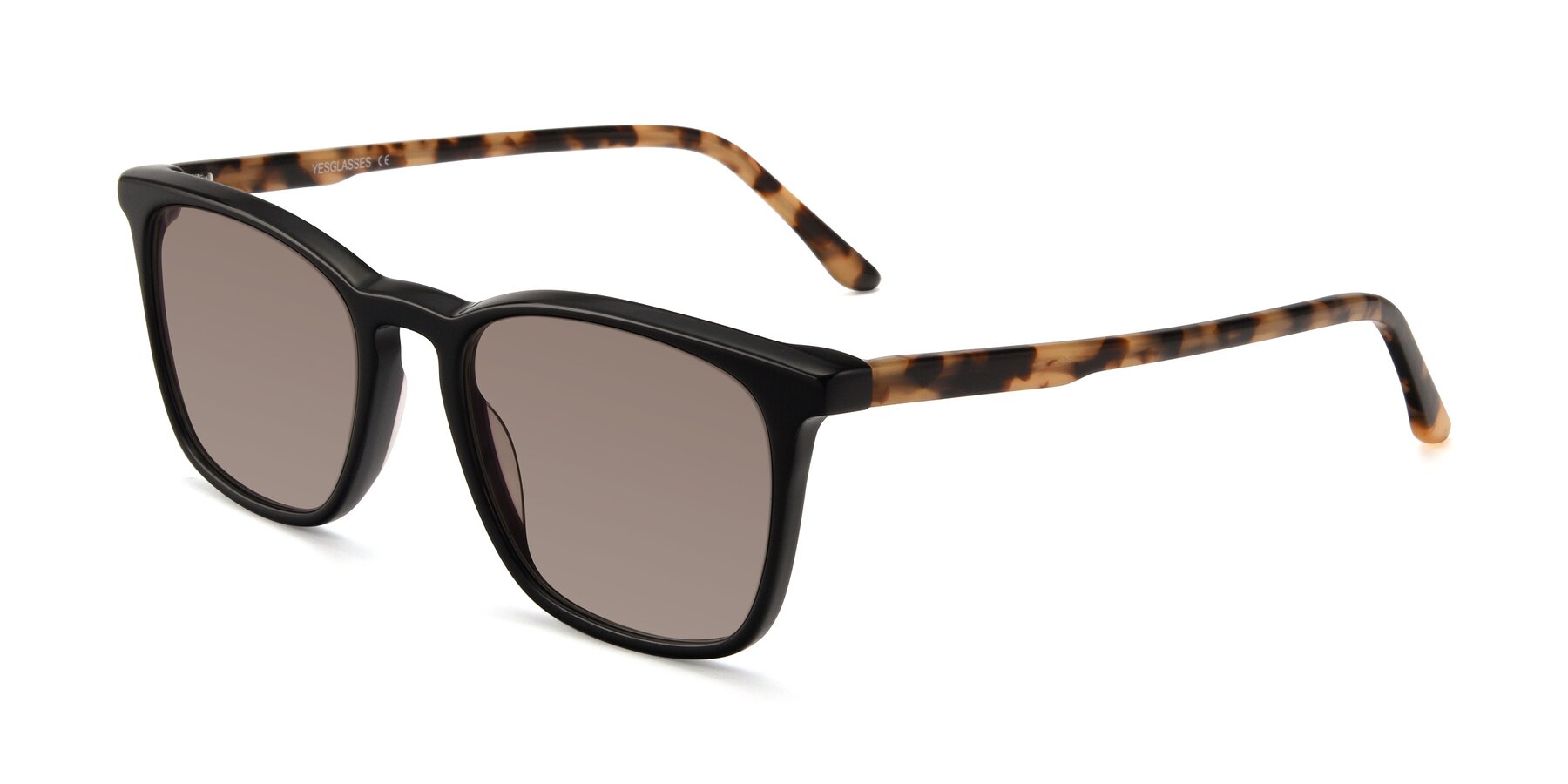 Angle of Vigor in Black-Tortoise with Medium Brown Tinted Lenses
