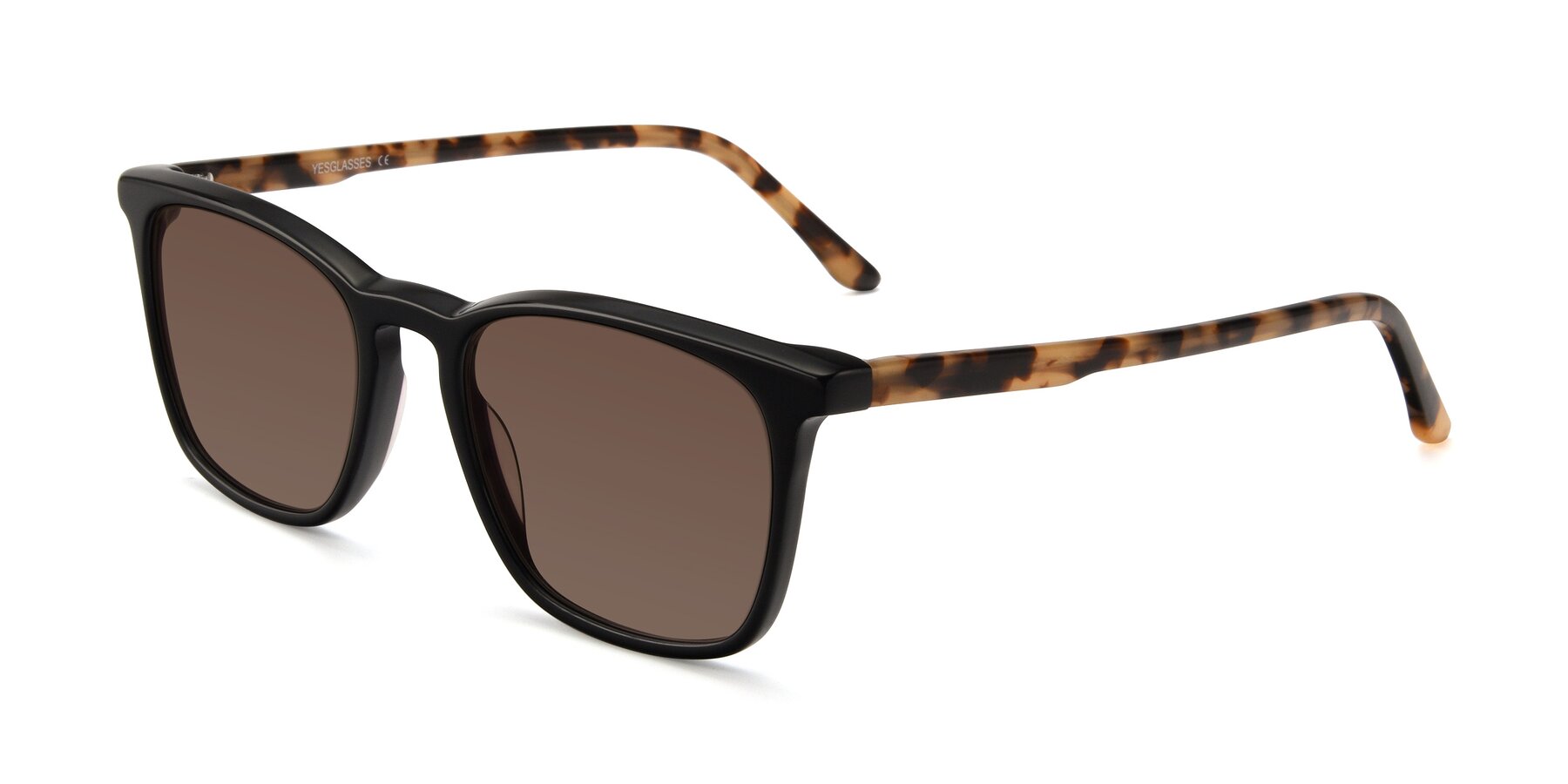 Angle of Vigor in Black-Tortoise with Brown Tinted Lenses