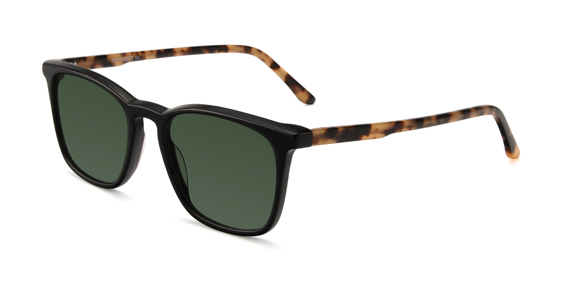 Angle of Vigor in Black-Tortoise with Green Tinted Lenses
