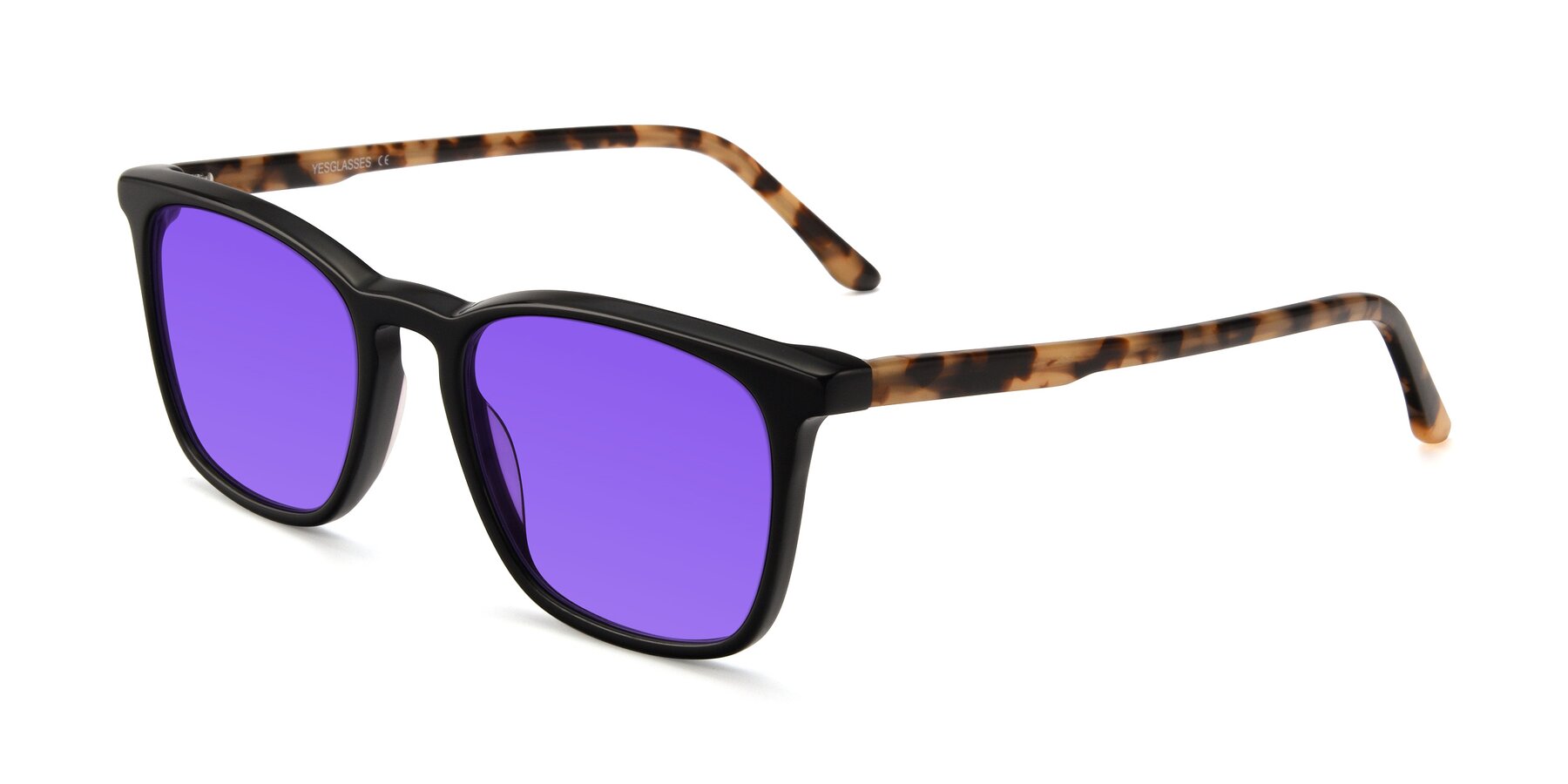 Angle of Vigor in Black-Tortoise with Purple Tinted Lenses