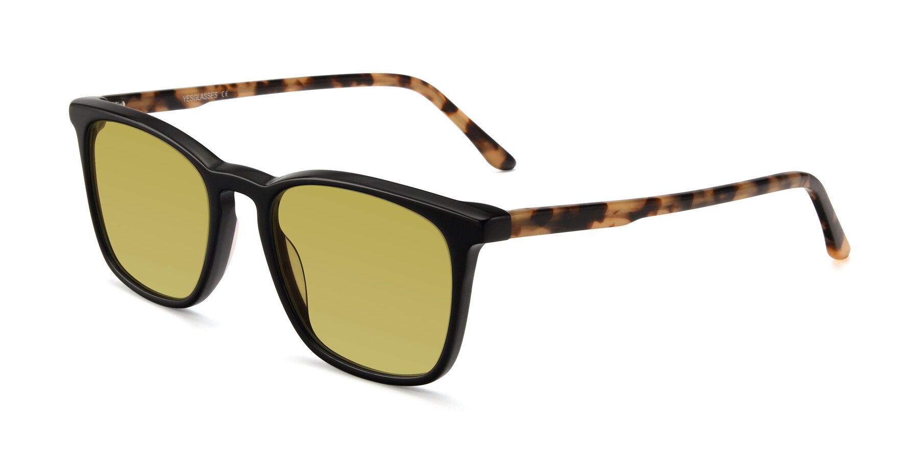 Angle of Vigor in Black-Tortoise with Champagne Tinted Lenses
