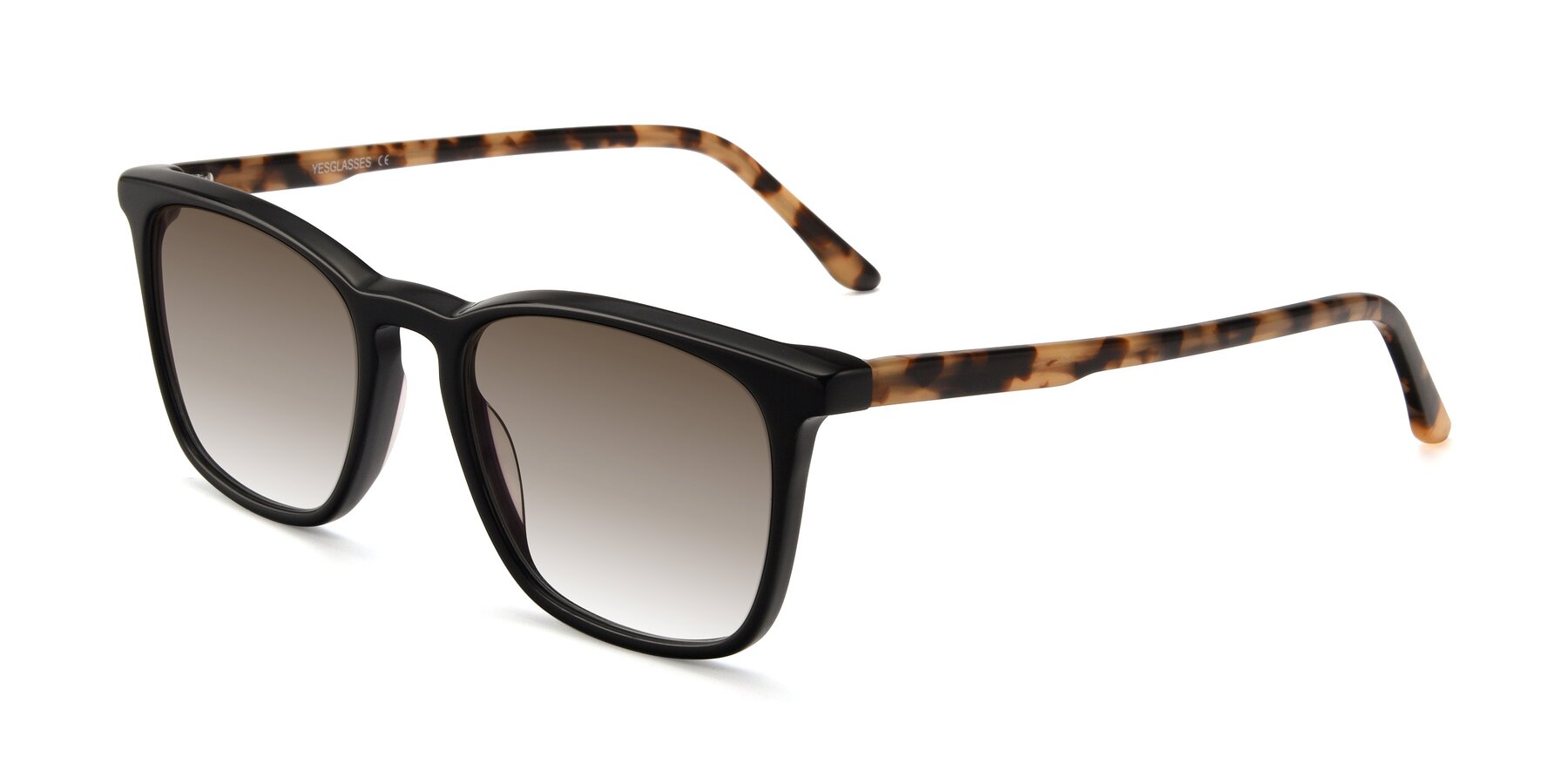 Angle of Vigor in Black-Tortoise with Brown Gradient Lenses
