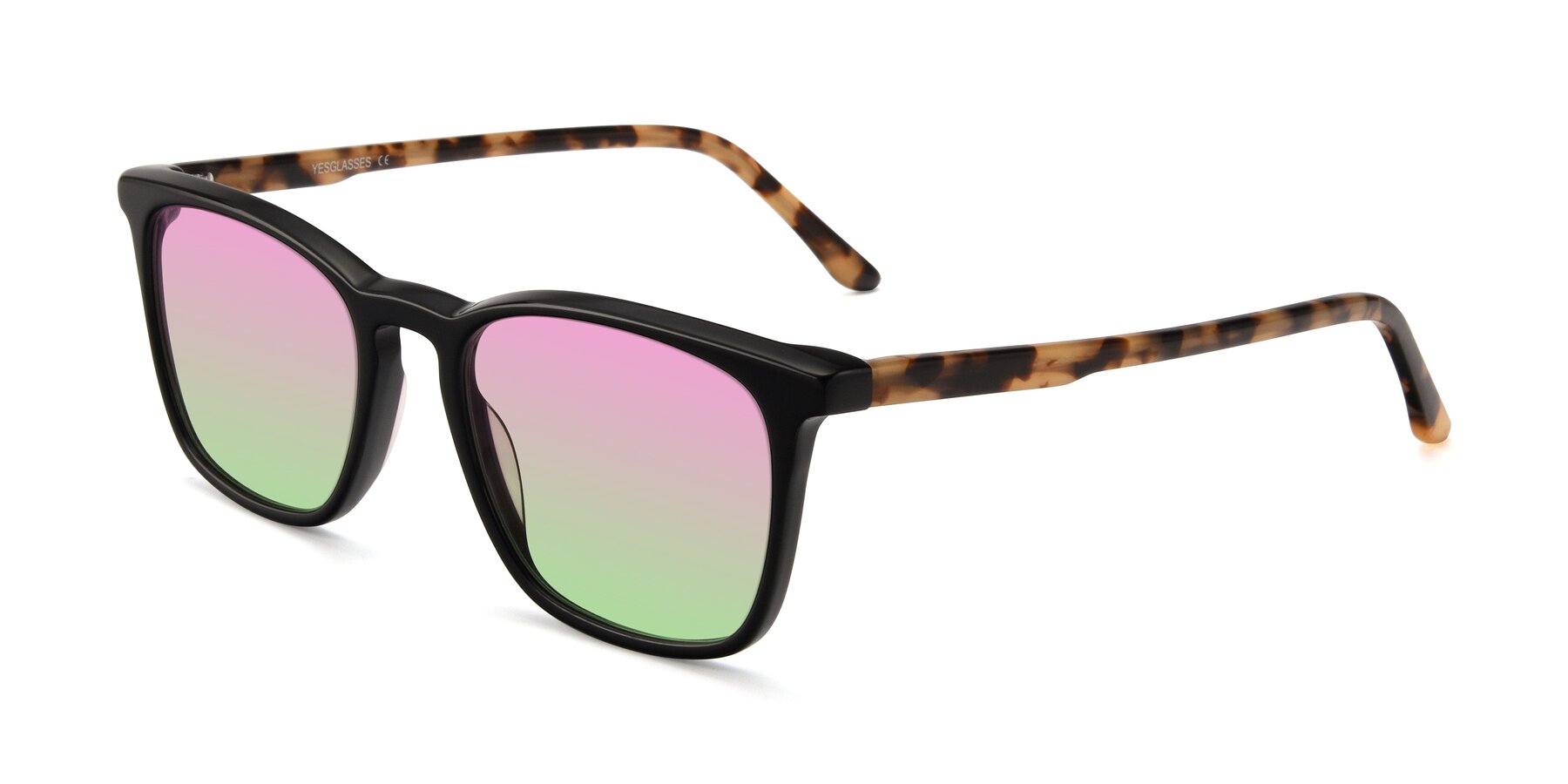 Angle of Vigor in Black-Tortoise with Pink / Green Gradient Lenses