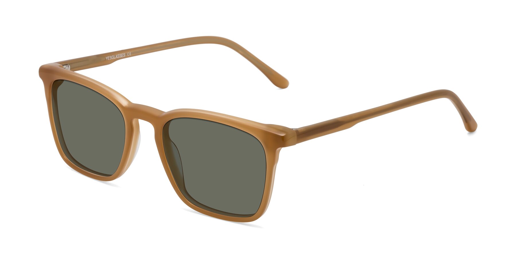 Angle of Vigor in Caramel with Gray Polarized Lenses