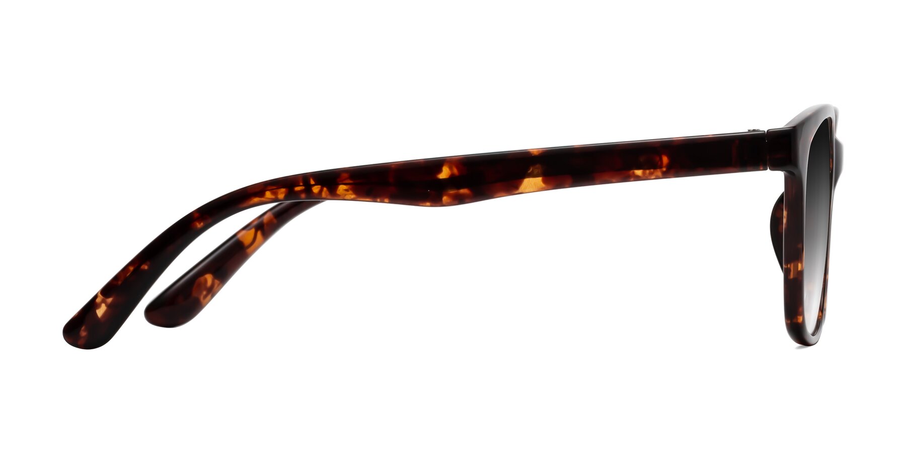 Side of Simplic in Tortoise with Gray Gradient Lenses