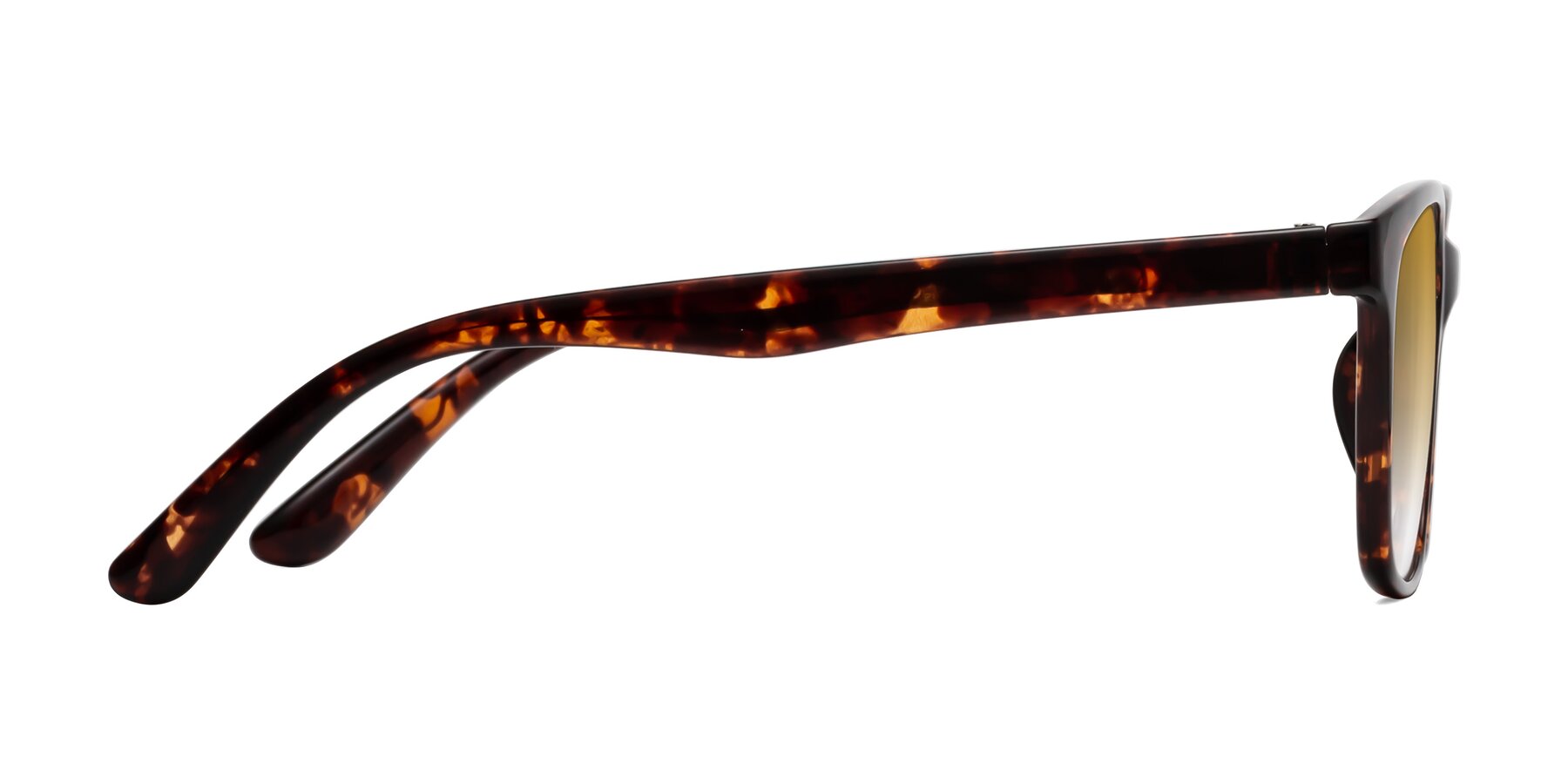 Side of Simplic in Tortoise with Champagne Gradient Lenses