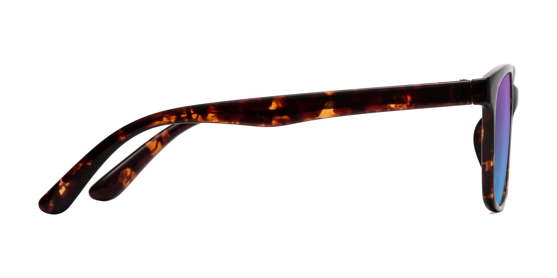 Side of Simplic in Tortoise with Purple / Blue Gradient Lenses