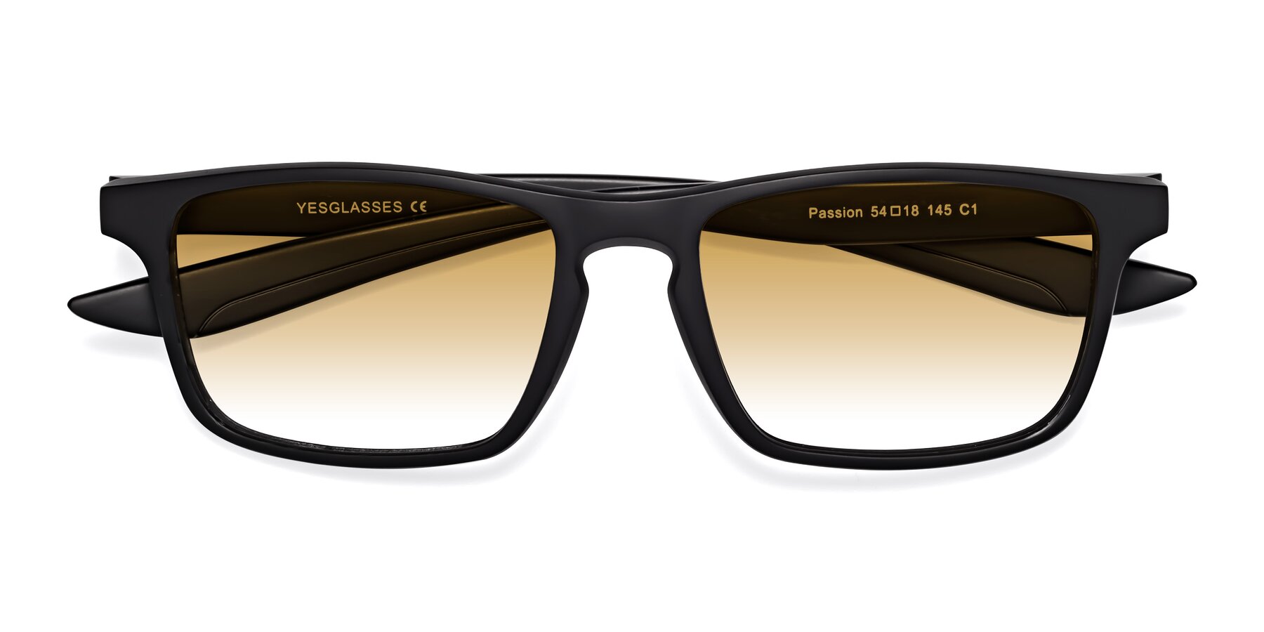 Folded Front of Passion in Matte Black with Champagne Gradient Lenses