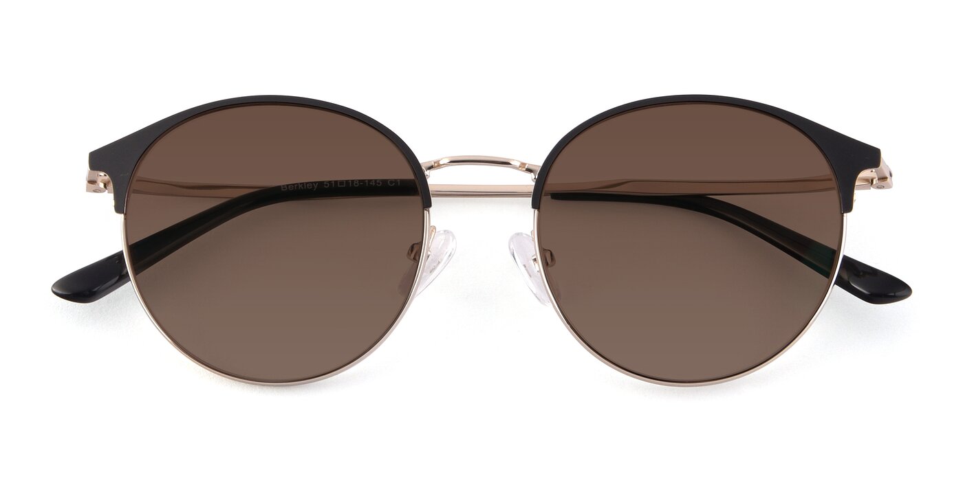 Berkley - Black / Gold Tinted Sunglasses