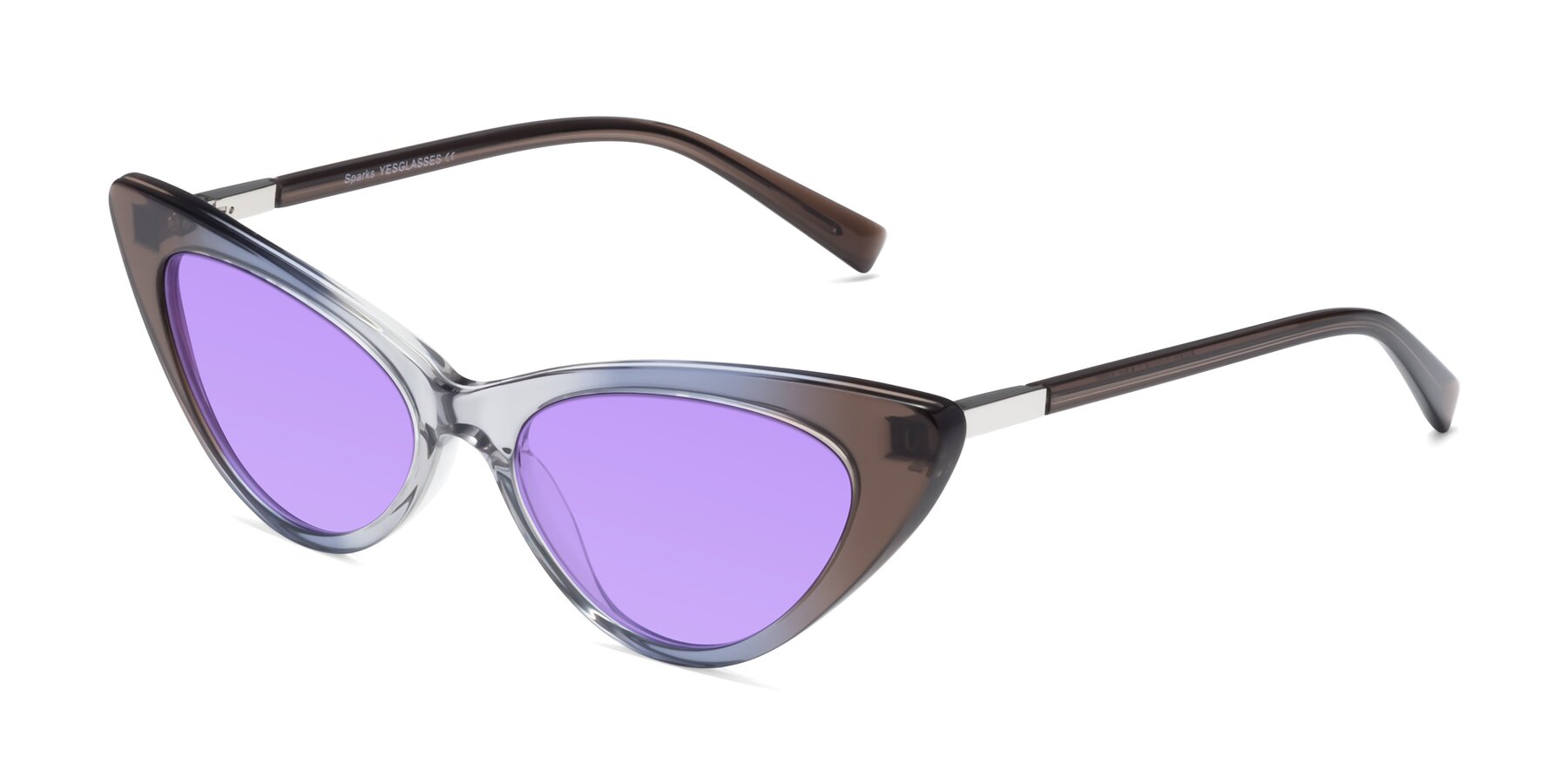 Angle of Sparks in Transparent Gradient Brown with Medium Purple Tinted Lenses