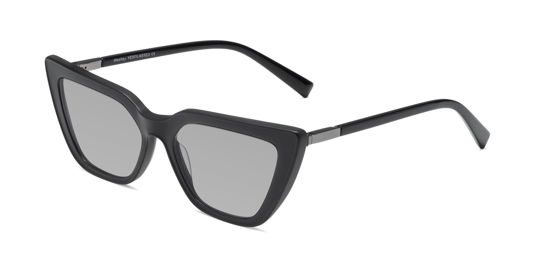 Angle of Westley in Matte Black with Light Gray Tinted Lenses