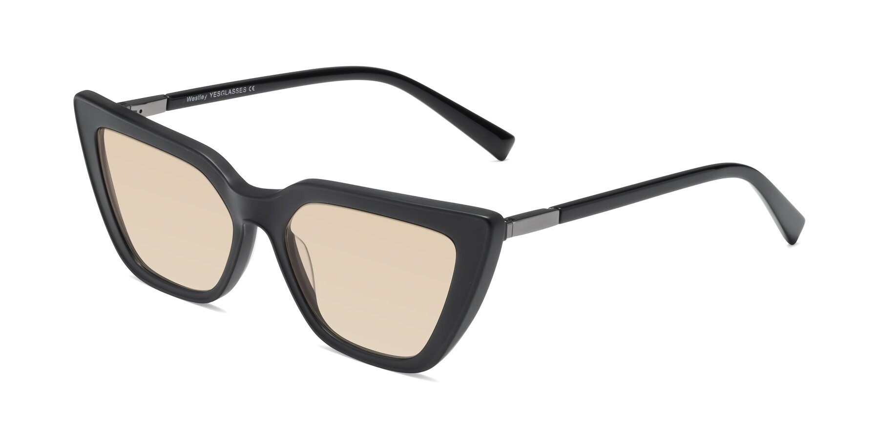 Angle of Westley in Matte Black with Light Brown Tinted Lenses