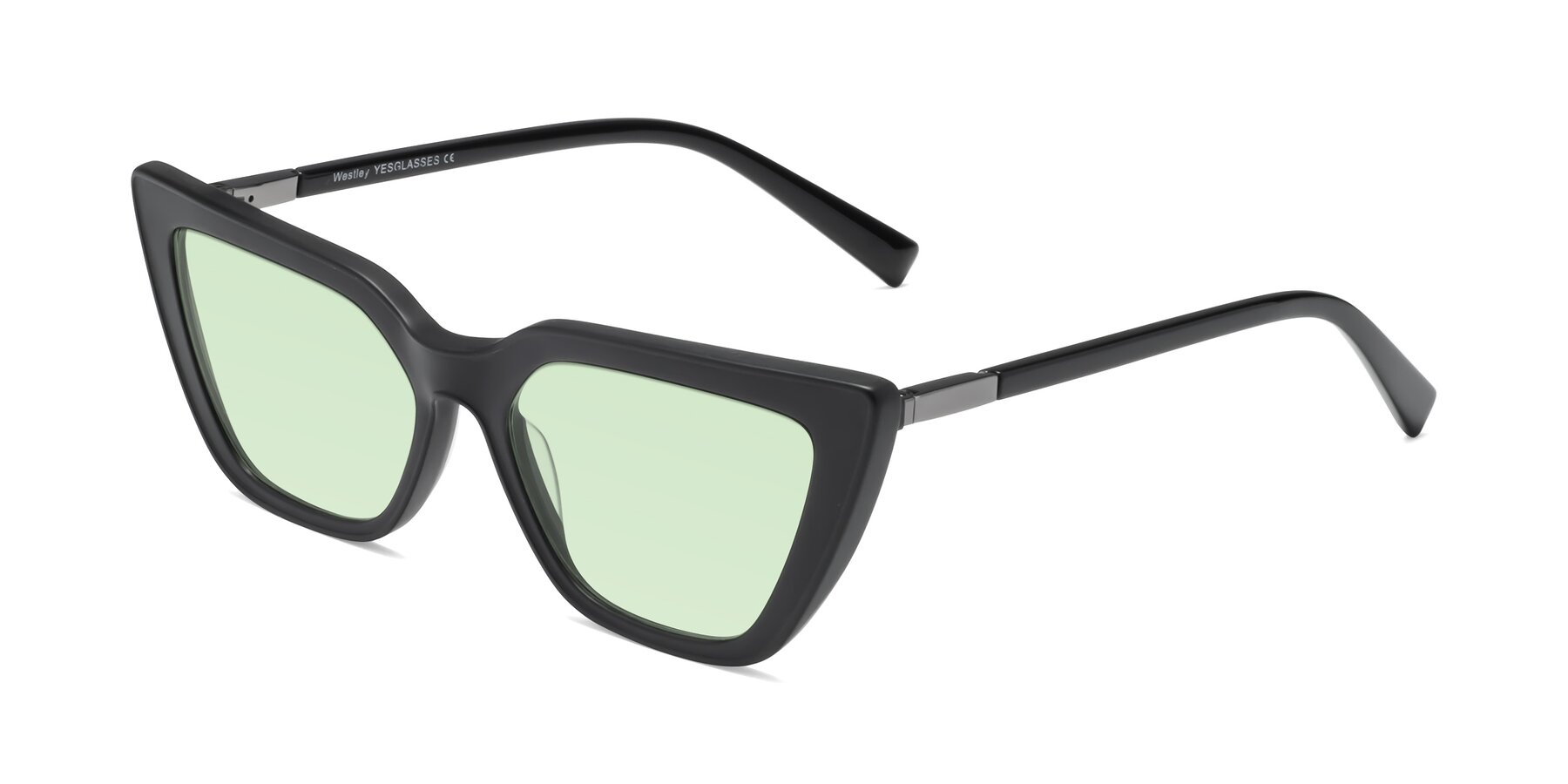 Angle of Westley in Matte Black with Light Green Tinted Lenses