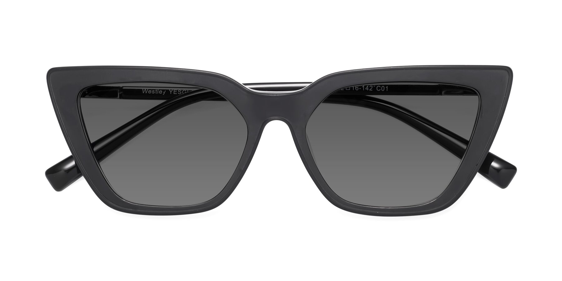 Folded Front of Westley in Matte Black with Medium Gray Tinted Lenses