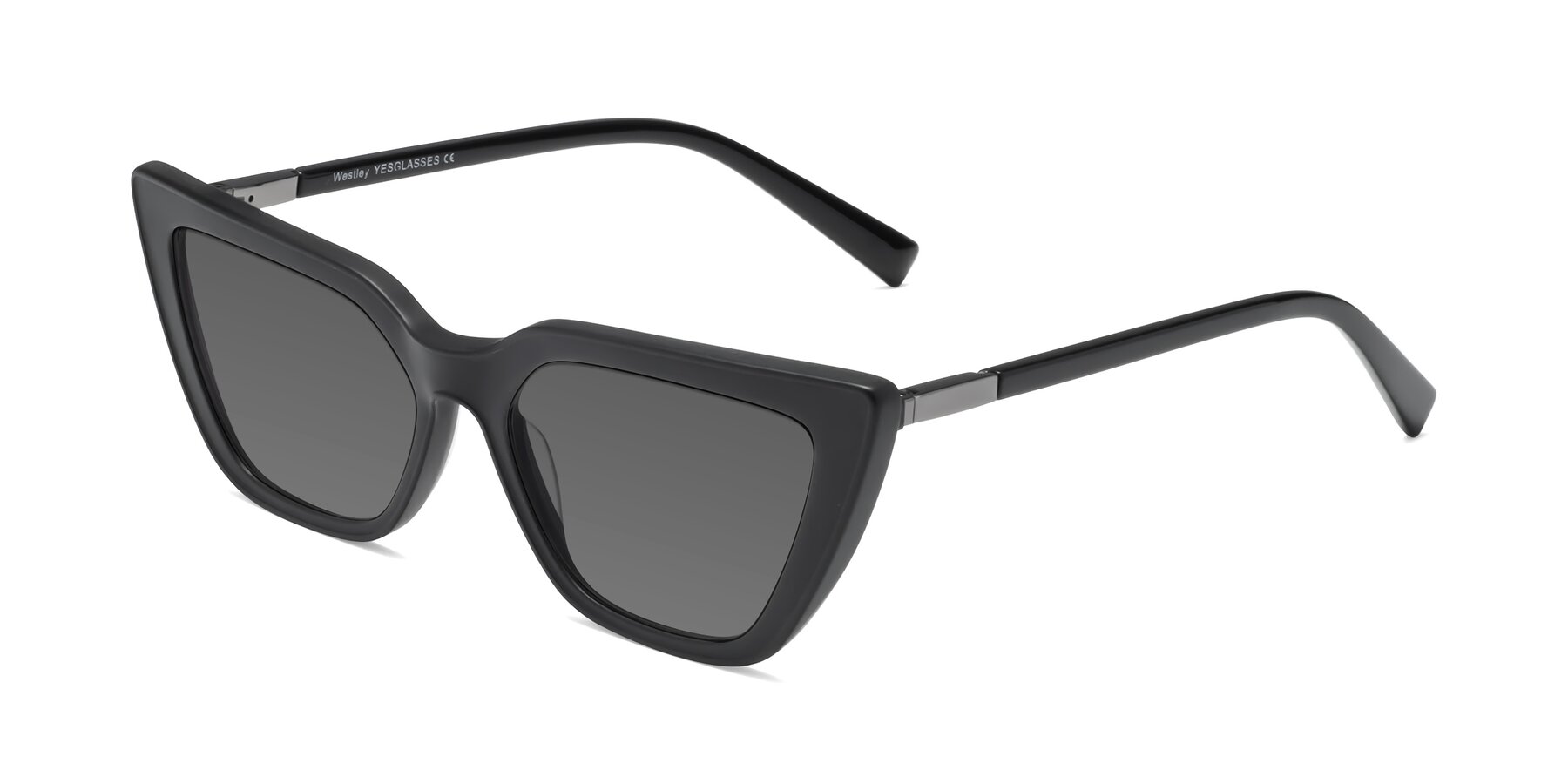 Angle of Westley in Matte Black with Medium Gray Tinted Lenses