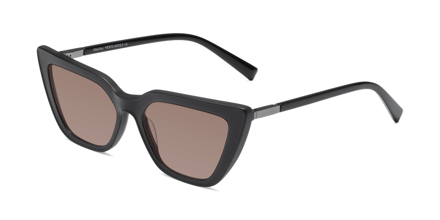 Angle of Westley in Matte Black with Medium Brown Tinted Lenses