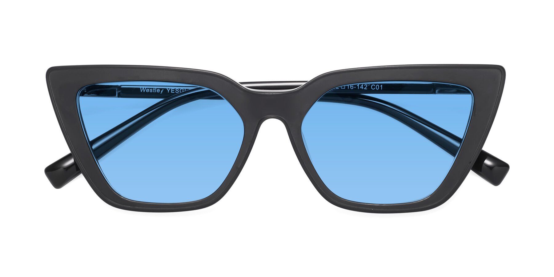 Folded Front of Westley in Matte Black with Medium Blue Tinted Lenses