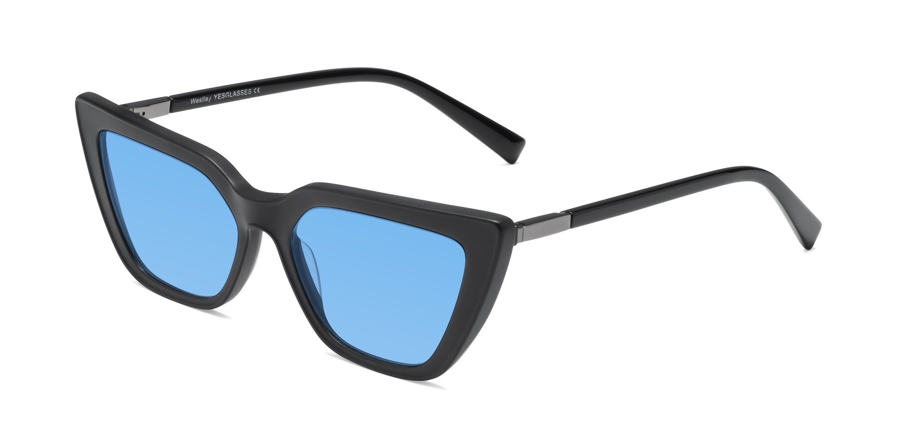 Angle of Westley in Matte Black with Medium Blue Tinted Lenses