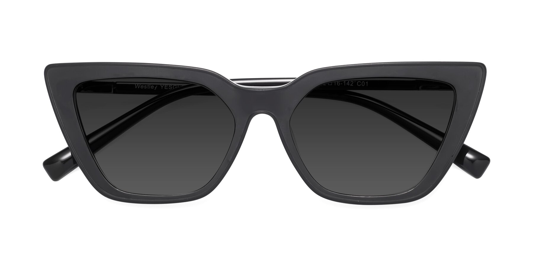 Folded Front of Westley in Matte Black with Gray Tinted Lenses