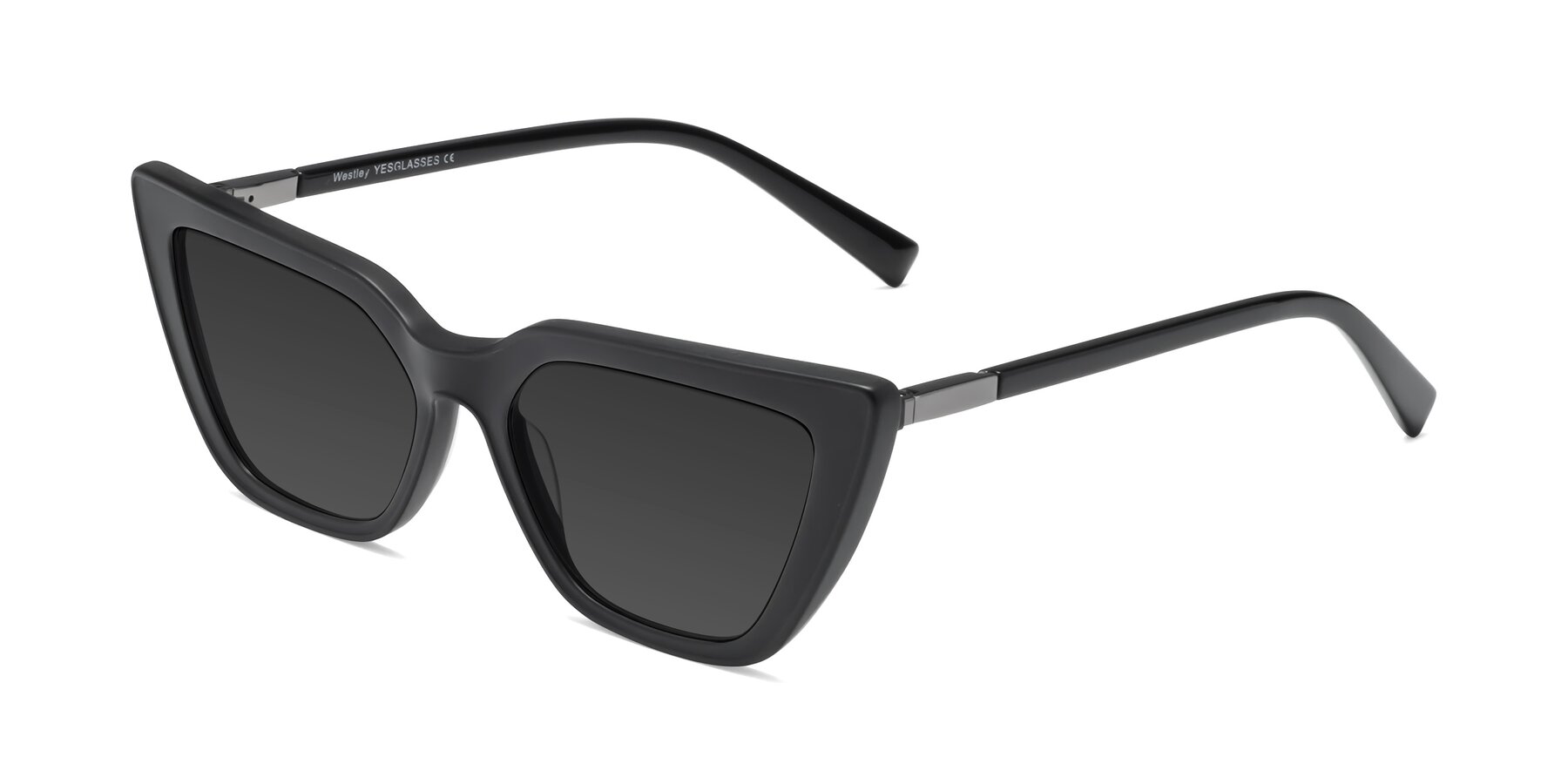 Angle of Westley in Matte Black with Gray Tinted Lenses