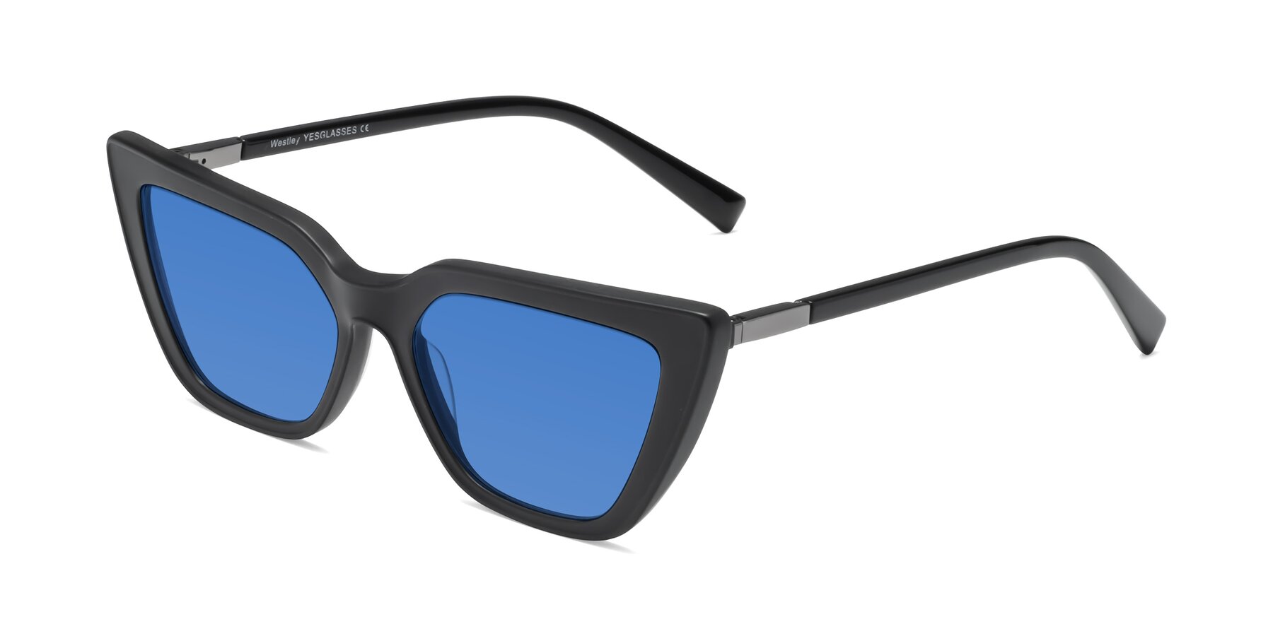 Angle of Westley in Matte Black with Blue Tinted Lenses