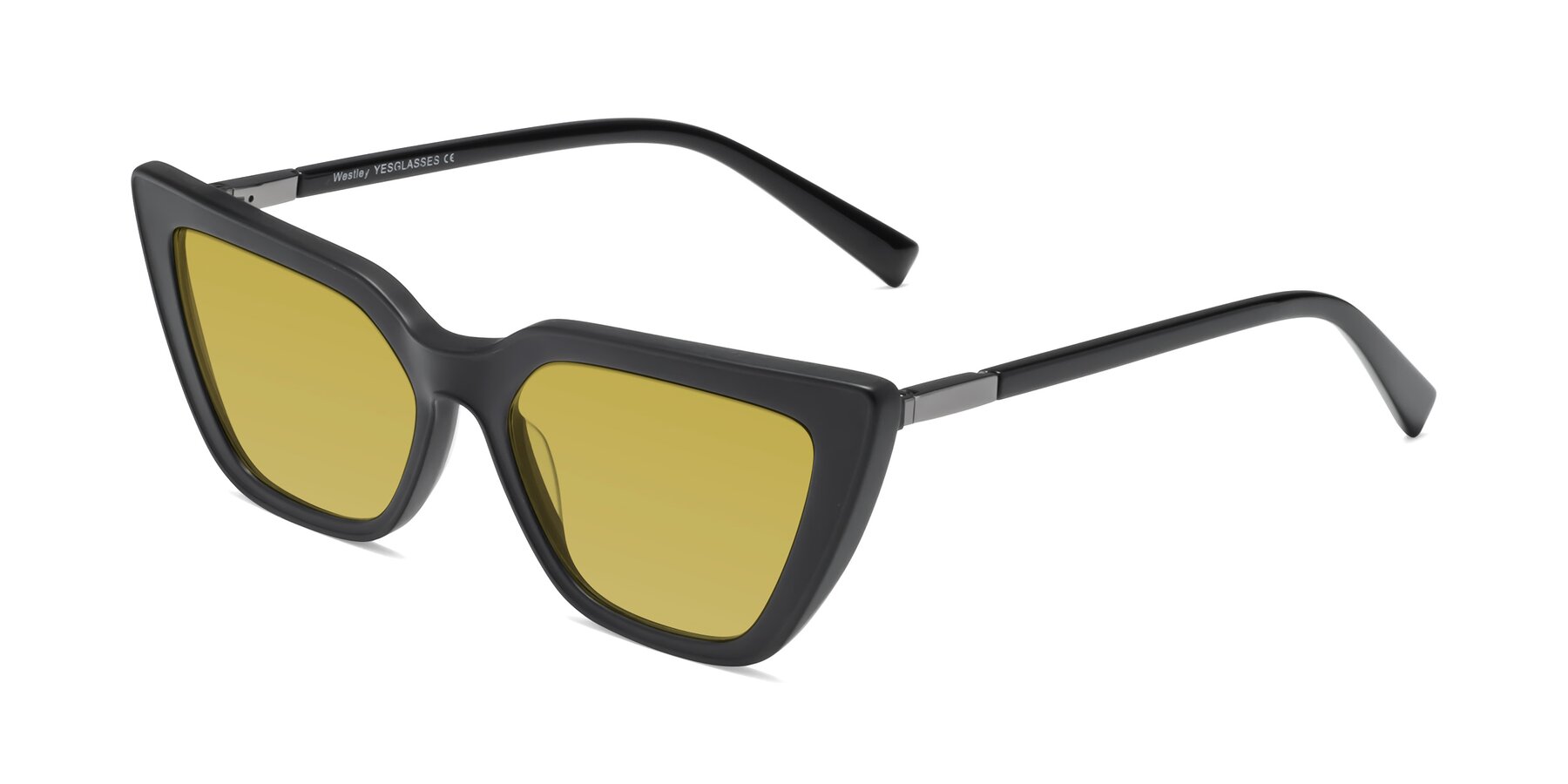 Angle of Westley in Matte Black with Champagne Tinted Lenses