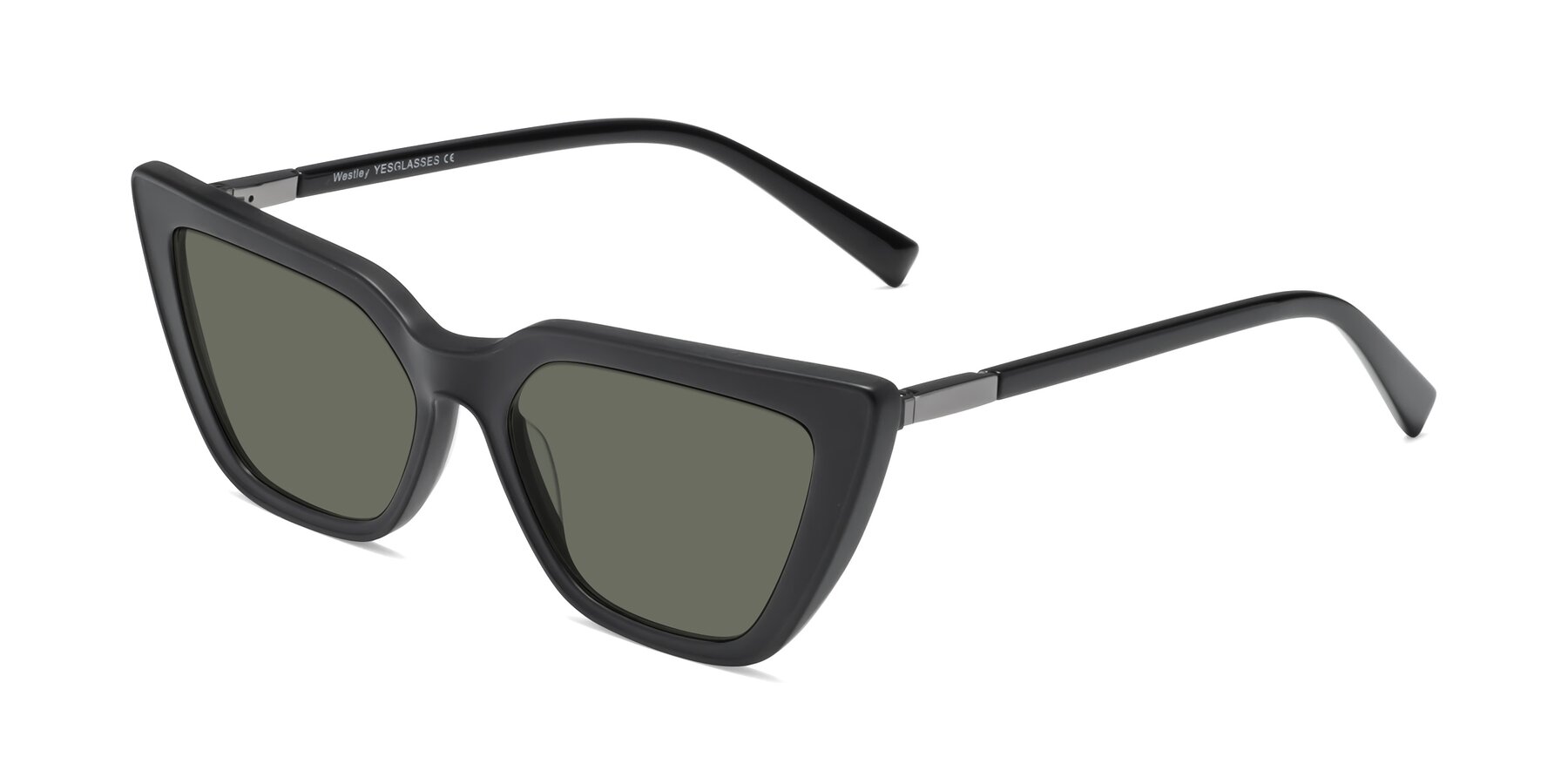 Angle of Westley in Matte Black with Gray Polarized Lenses