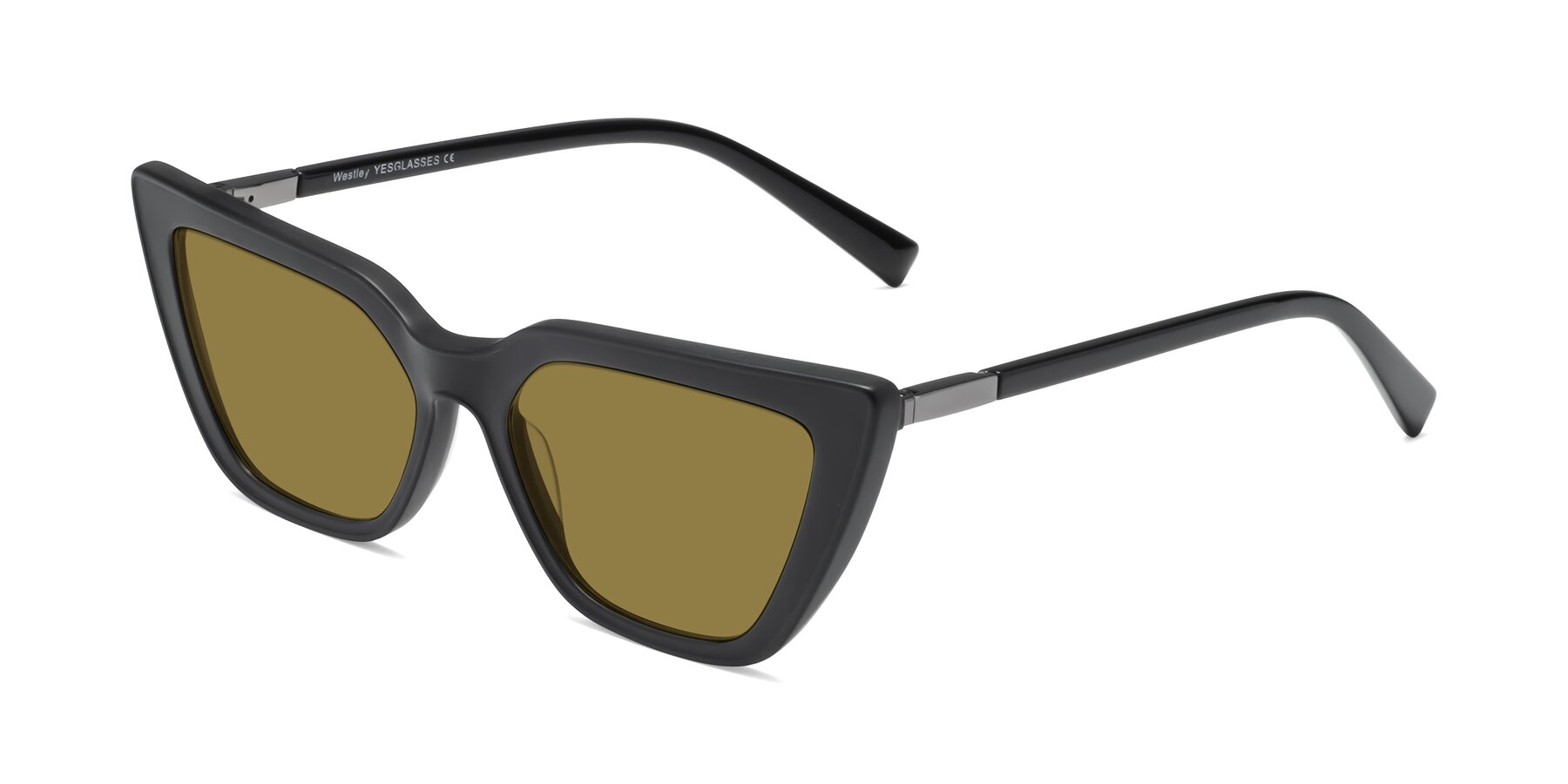Angle of Westley in Matte Black with Brown Polarized Lenses