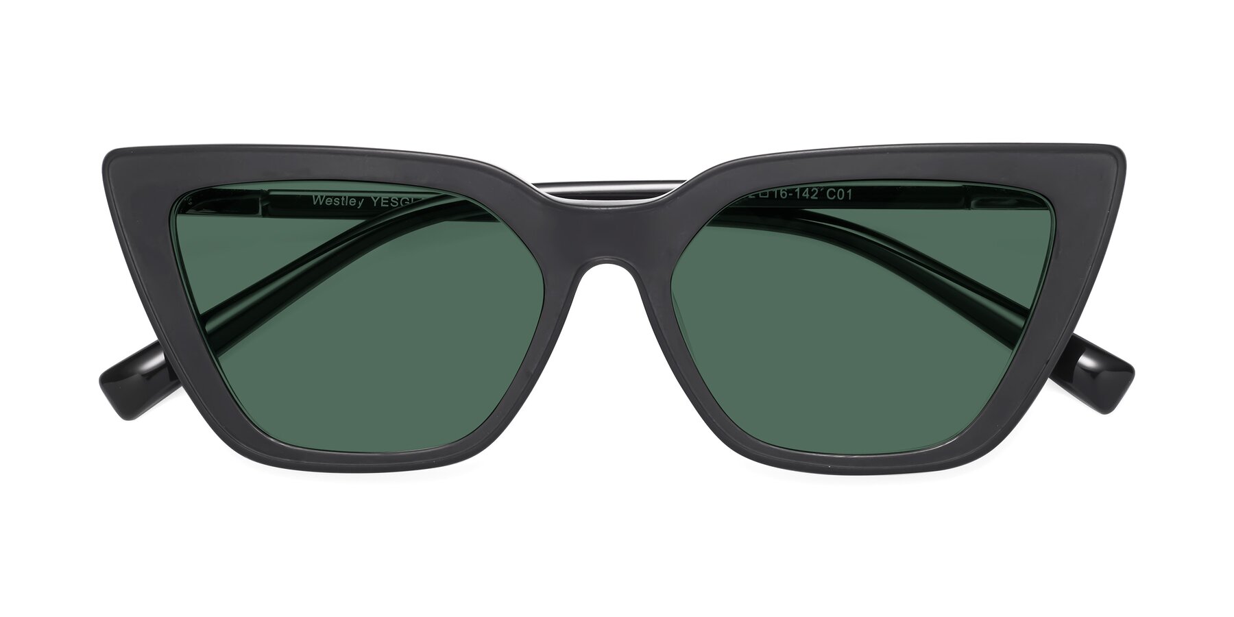 Folded Front of Westley in Matte Black with Green Polarized Lenses