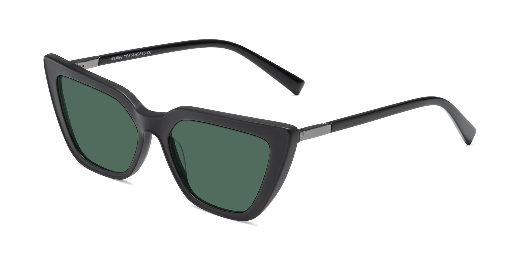 Angle of Westley in Matte Black with Green Polarized Lenses
