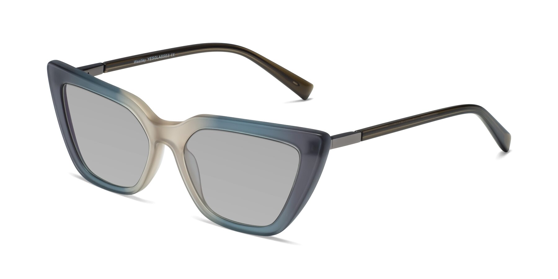 Angle of Westley in Gradient Grey with Light Gray Tinted Lenses