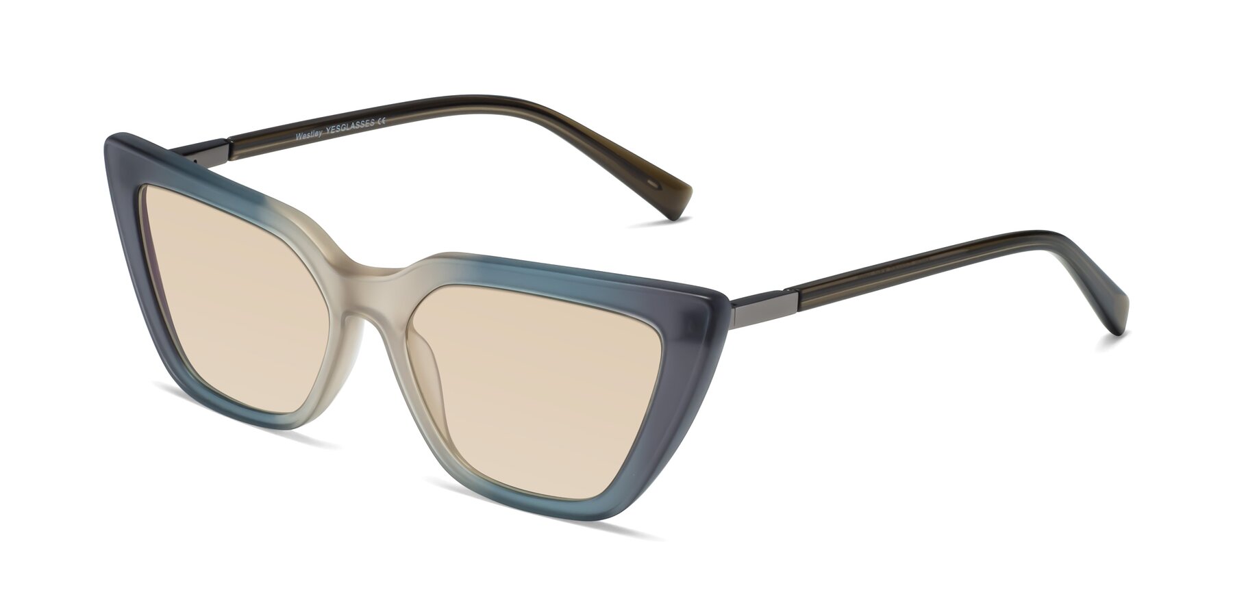 Angle of Westley in Gradient Grey with Light Brown Tinted Lenses