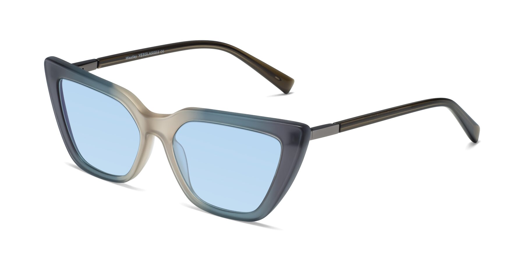 Angle of Westley in Gradient Grey with Light Blue Tinted Lenses