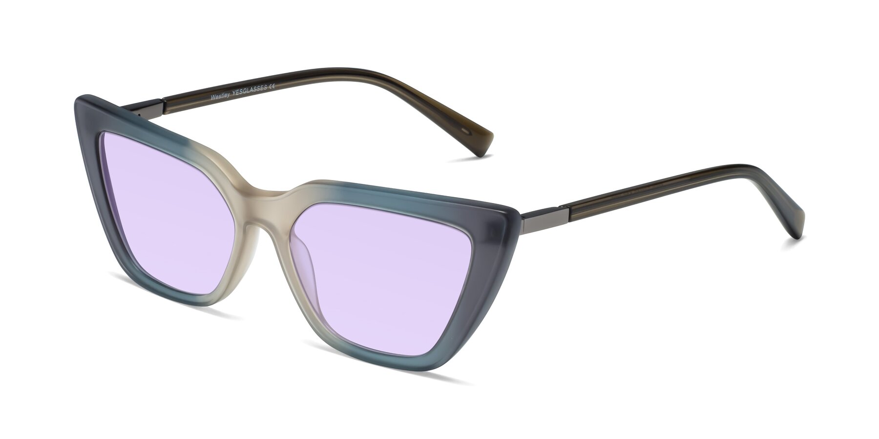 Angle of Westley in Gradient Grey with Light Purple Tinted Lenses