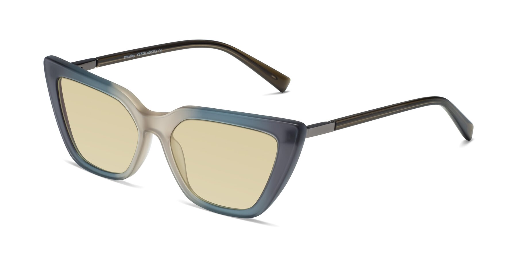 Angle of Westley in Gradient Grey with Light Champagne Tinted Lenses