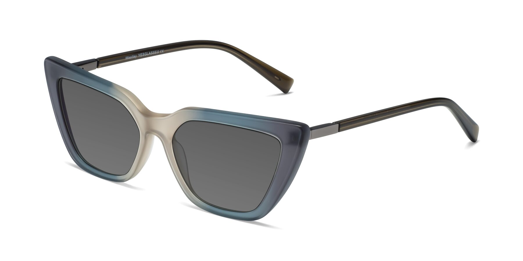Angle of Westley in Gradient Grey with Medium Gray Tinted Lenses