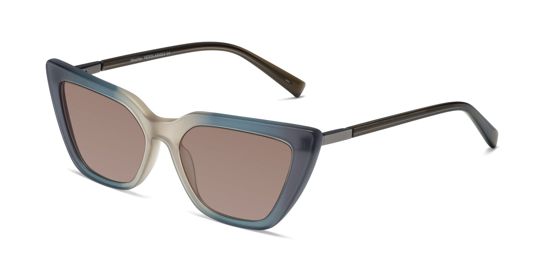 Angle of Westley in Gradient Grey with Medium Brown Tinted Lenses